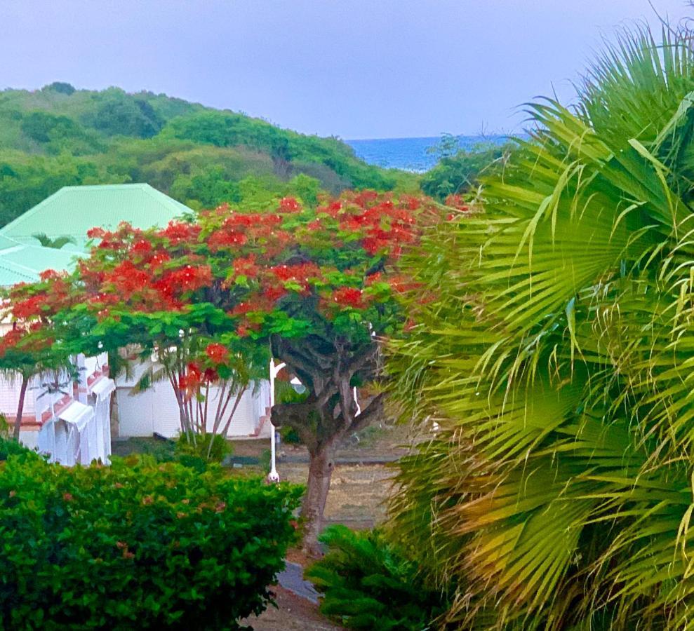 Le Titouloulou 1023 Anse Des Rochers Сен Франсоа Екстериор снимка